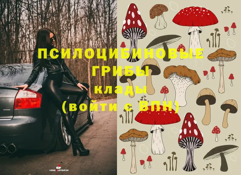 как найти закладки  Новоаннинский  Галлюциногенные грибы Magic Shrooms 